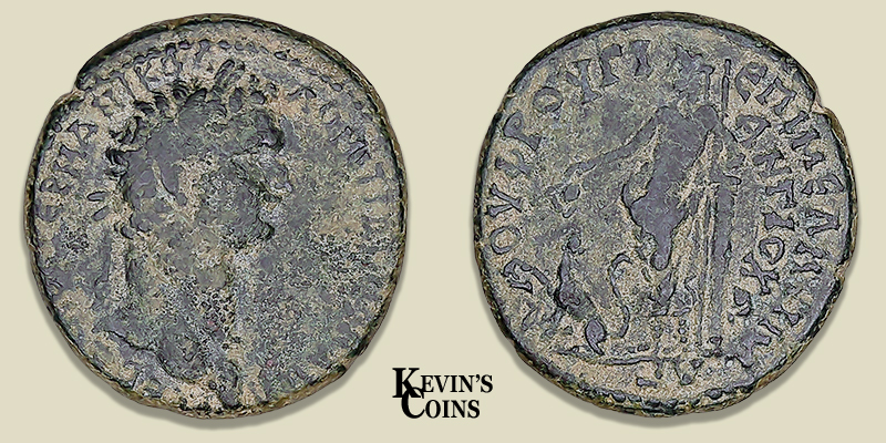 Domitian AE Diassarion  Antioch AD 81-96