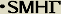 dsmhg