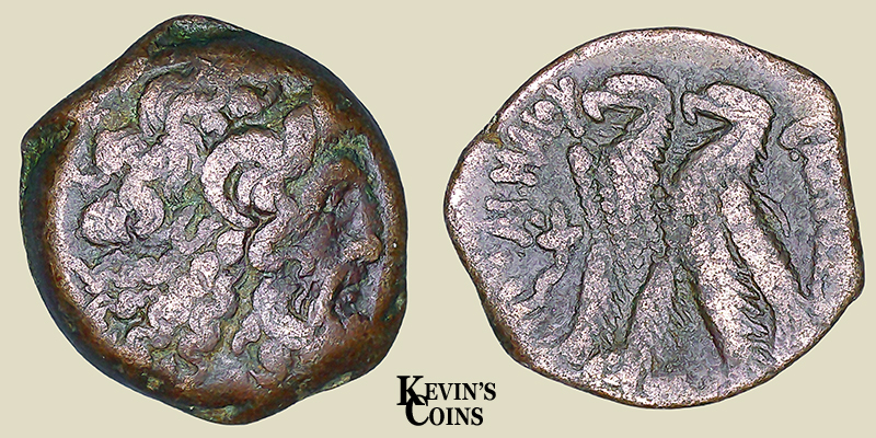 Ptolemy IX or Ptolemy X AE19  113-181 B.C. (3)